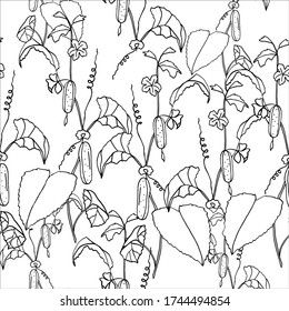 seamless pattern cucumber on a branch, hand-drawing, doodle style