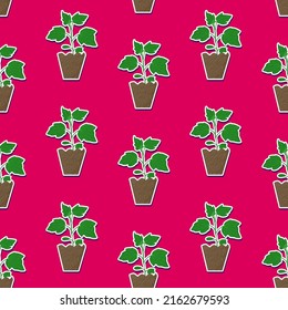 Seamless pattern cucumber sprout in a peat pot. Bold and bright Cottagecore abstract background. Flat illustration for seed packaging design