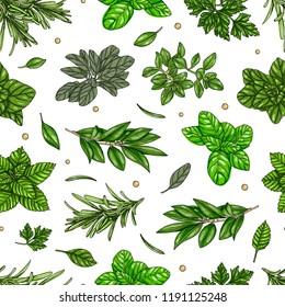 Seamless pattern, culinary herb, spices isolated on white background, card template, for book, cover, package, label, banner. Hand drawn illustration. Vector, eps 10