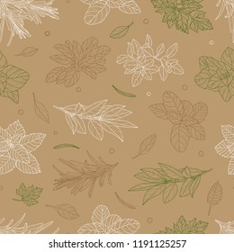 Seamless pattern, culinary herb, spices , card template, for book, cover, package, label, banner. Hand drawn illustration. Vector, eps 10