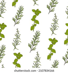 Seamless pattern with culinary herbs and spices. Vector illustration