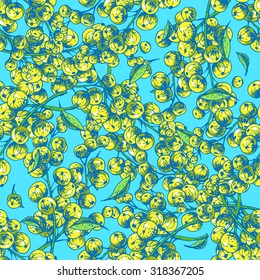Seamless pattern currant. Vector hand-drawn illustration