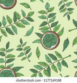Seamless pattern with curry tree: branch, powder and curry leaves. Murraya koenigii. Vector hand drawn illustration.