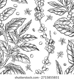 Patrón sin fisuras con ramas de café curvadas. Ilustración vectorial para el diseño de cafeterías, menús, embalaje, diseño de interiores e impresión de telas.