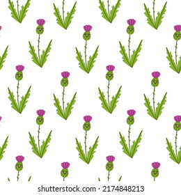 Seamless pattern with cute baby Thistle on white background. Vector botanical print with hand drawn in doodle style wild flowers for kids textile or wrapping paper