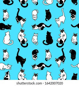 Seamless pattern with cute black and white cats. vector illustration