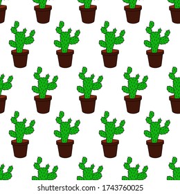 Patrón sin brillo con cactus lindo sobre un fondo blanco. Vector.