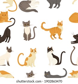 Seamless pattern of cute cartoon animal design white brown and orange domestic cat adorable animal vector illustration