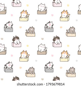 Seamless Pattern with Cute Cartoon Cat in the Box Design on White Background