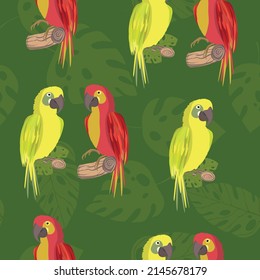 Patrón sin foco con un lindo pájaro loro de dibujos animados en una rama. Ilustración vectorial para papel pintado, tela, textil. Impresión exótica veraniega. Tocan tropical con hojas de monstera floral.