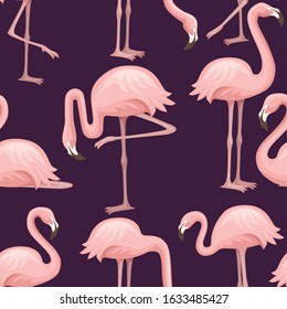 Seamless pattern of cute cartoon peach pink flamingo. Funny flamingo collection. Cartoon animal character design. Flat vector illustration on dark background