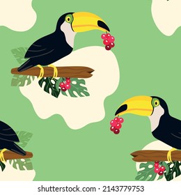 Patrón sin foco con un lindo dibujo de pájaro tocano en una rama. Ilustración vectorial para papel pintado, tela, textil. Impresión exótica veraniega. Tocan tropical con hojas de monstera floral.