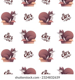 Seamless pattern with cute cute cat lying in the box. Pet, kitty, domestic life, animal concept. Vector illustration.