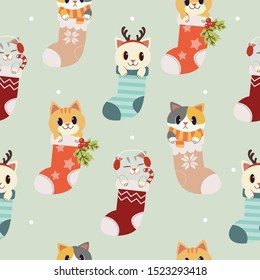 The seamless pattern of cute cat in the sock in christmas theme with holly leaf and candy in flat vector style. Illustration about background and graphic.