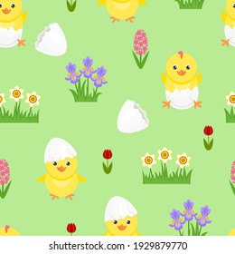 Seamless pattern with cute chicks hatched from an egg. Easter festive background. Vector cartoon cracked eggs, spring flowers and funny yellow chicks. Flat illustration.