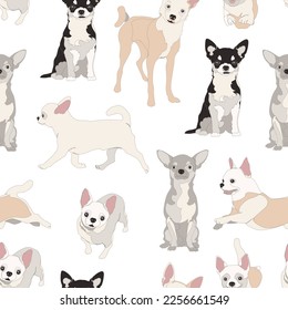 Seamless pattern with cute chihuahua dogs. Vector illustration.