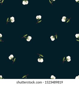 Seamless pattern with cute cotton flowers. Vector.