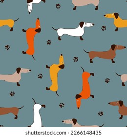 Seamless pattern with cute dachshunds and dog prints. Vector background