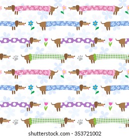 Seamless pattern with cute dachshunds in multicolored clothing