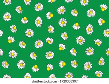 Seamless Pattern of Cute Daisies, Fashion Print Design