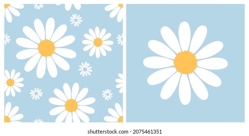 Seamless pattern with cute daisy flower on blue background and Daisy flower icon logo vector illustration. Cute floral print.