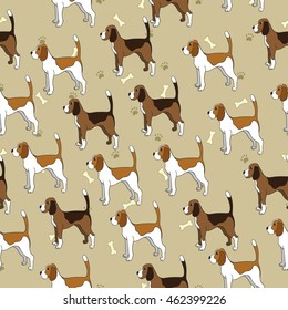 Seamless pattern with cute dog. Breed beagle. Can be used for wallpaper, pattern fills, greeting cards, webpage backgrounds, wrapping paper and textile or fabric. Vector illustration.