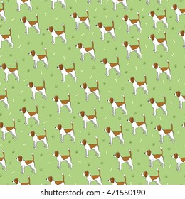 Seamless pattern with cute dog. Breed beagle. Can be used for wallpaper, pattern fills, greeting cards, webpage backgrounds, wrapping paper and textile or fabric. Vector illustration.