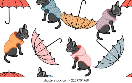 Seamless pattern with cute dog in a vest and umbrellas.Background and texture with animal character for printing on fabric and paper.Hand drawn vector isolated illustration in cartoon for design card.