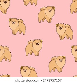 Seamless pattern with cute and funny Pomeranian spitz dog. Endless repeatable backdrop with purebred puppy pet or domestic animal Zwergspitz. Colorful vector illustration on pink background