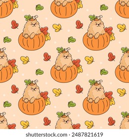 Seamless pattern with cute and funny Pomeranian spitz dog sitting in pumpkin. Background with puppy and leaves for Thanksgiving, Harvest and other autumn holidays