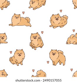 Seamless pattern with cute and funny Pomeranian Spitz dogs. Background with small purebred puppys in funny poses. Amusing fluffy pets and hearts. Animals smiling. Vector illustration.