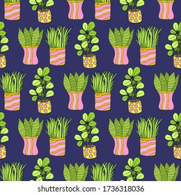 Seamless pattern with cute hand drawn flower plants in pots on blue. Doodle vector bright illustration house plants 