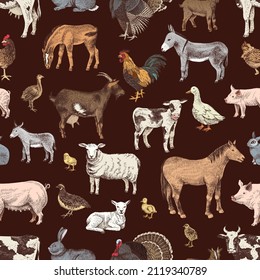 Seamless pattern with cute hand drawn farm animals