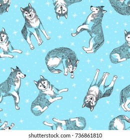 Seamless pattern with cute husky with snowflakes. Vector animal background. Design for chinese new year 2017 of dog.