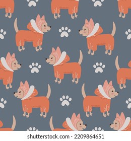 Seamless pattern with cute little dog. Pets seamless background with Funny Chihuahua in hat and overall, decorated with paw print. Repeat canine vector illustration for autumn, fall, winter