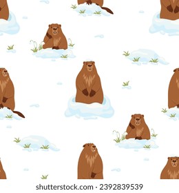 Seamless pattern with cute marmots with snow and snowdrops on white background. Vector illustration. Holiday design, decor, packaging and wallpaper for Groundhog Day February 2