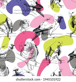 Patrón sin foco de loros lindos. Diseño tropical de verano. Activa el trabajo de linea. Perros de contorno dibujados a mano con color de muestra de neón pastel
