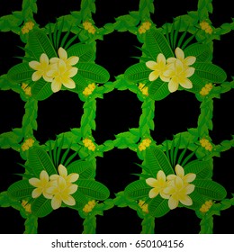 Seamless pattern with cute plumeria flowers on a black background. Vector illustration.