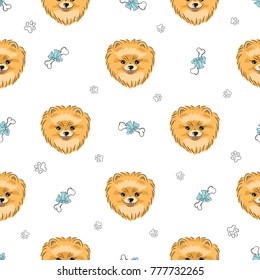 Seamless pattern with cute pomeranian dog. Vector background with hand drawn puppies.