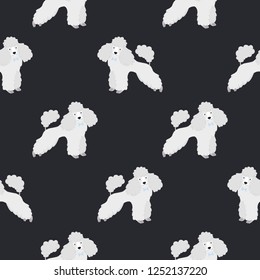Seamless pattern with cute poodle on black background.