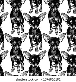 Seamless pattern with cute puppies. Home pets isolated on white background. Sketch. Vector illustration art. Realistic portraits of animal. Vintage. Black and white hand drawing of dogs terrier. 