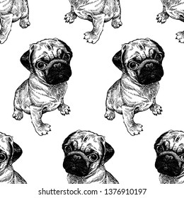 Seamless pattern with cute puppies. Home pets isolated on white background. Sketch. Vector illustration art. Realistic portraits of animal. Vintage. Black and white hand drawing of dogs pug.