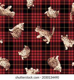 Seamless pattern of cute and realistic cat illustrations,