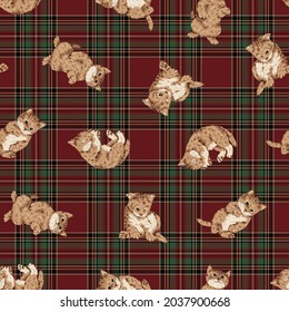 Seamless pattern of cute and realistic cat illustrations,