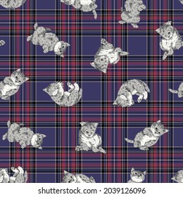 Seamless pattern of cute and realistic cat illustrations,
