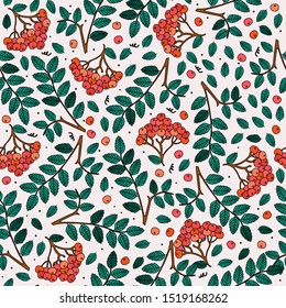 Seamless pattern with cute Rowan. Vector background.
