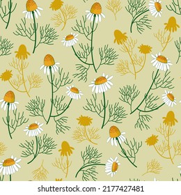 seamless pattern with cute sunny daisies, chamomile