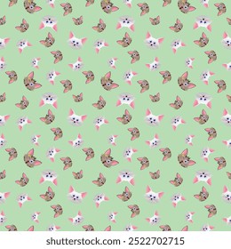 seamless pattern cute white cat and grey tabby cat illustration in isolated soft green background