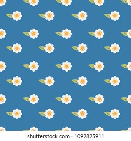 Seamless pattern with Cute white flowers background vector illustration for design