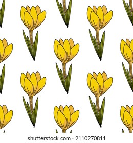 Seamless pattern with cute yellow crocus on white background. Spring flowers. Doodle style. Vector image.